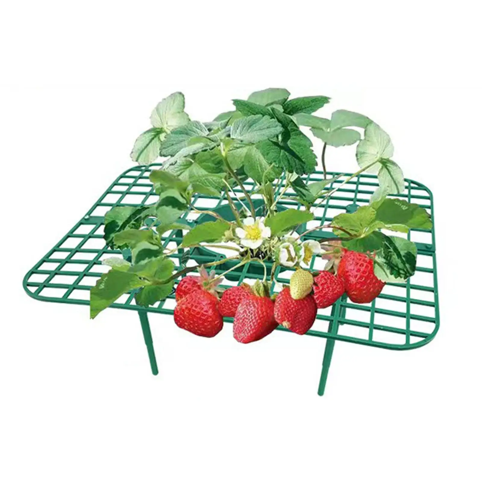 10x Strawberry Plant Supports Strawberry Growing Racks Vegetable Rack Strawberry Growing Fruit Support for Indoor Yard Lawn