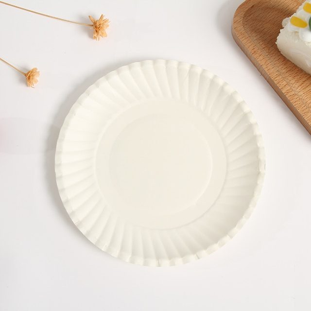 100 Assiettes Jetables En Carton De Canne à Sucre - 15,5cm Écolo Pour Pique-nique & Fêtes
