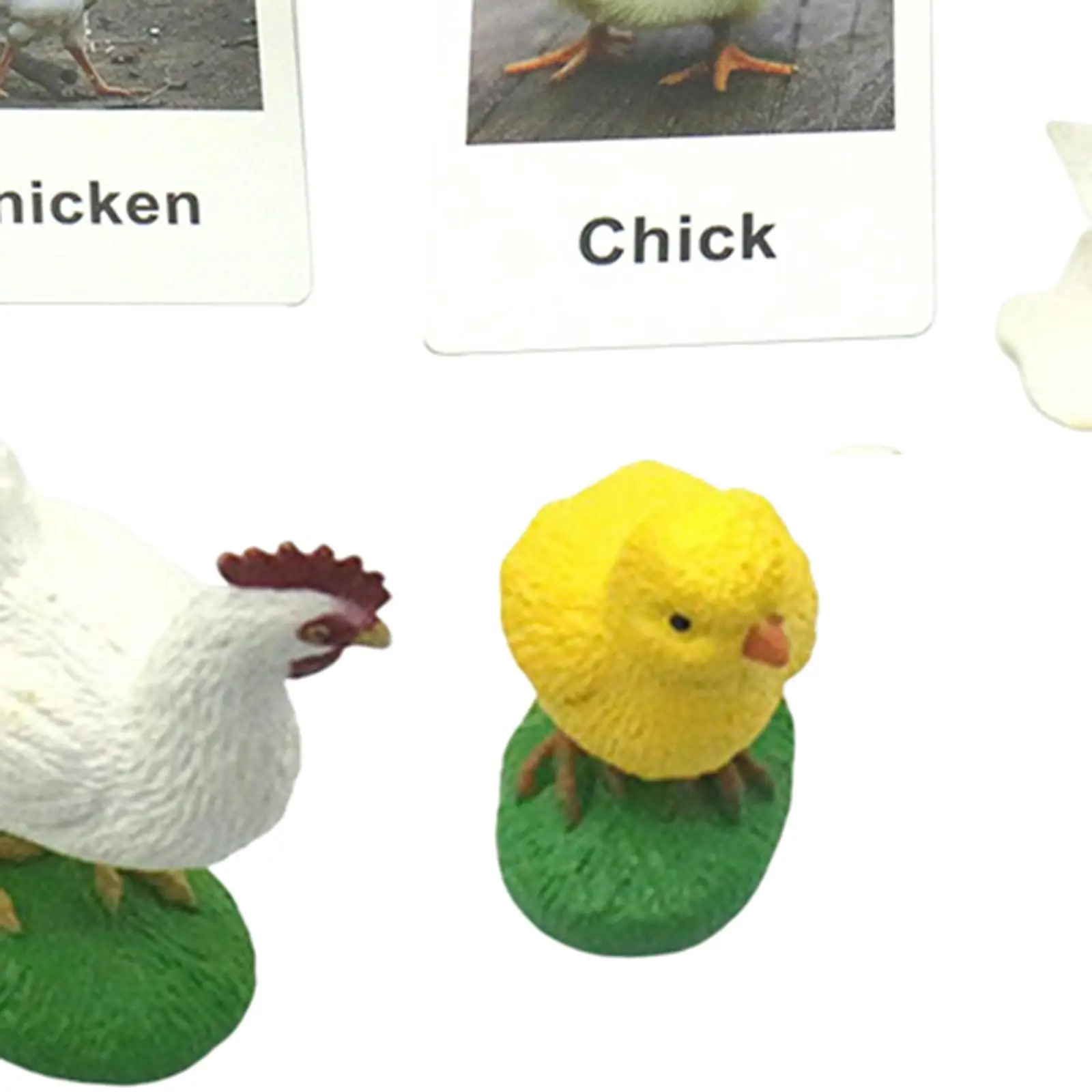 Chicken Life Cycle Figurines Chick Miniature Chicken Hen Egg Figurines Figures for School