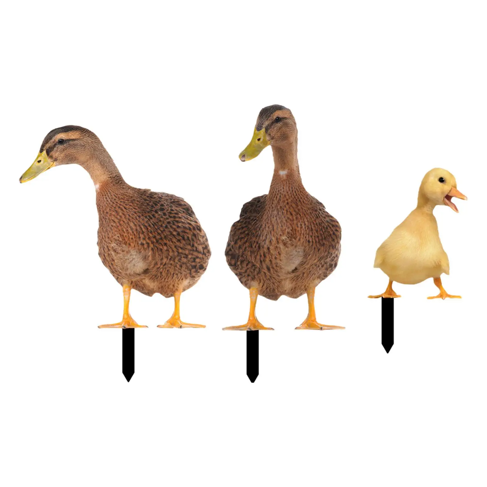 3x Acrylic Duck Statue Stakes Decorative Realistic Animals Figurines Stakes for Swimming Pool Front Porch Backyard Courtyard