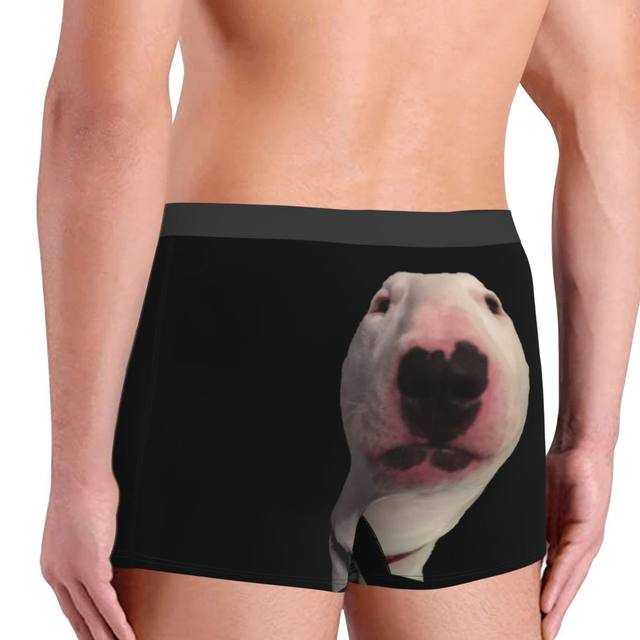 Men Boxer Shorts Panties Big Dick Is Back In Town Soft Underwear Funny  Birthday Gift For Friend Husband Men Male Underpants - Boxers - AliExpress