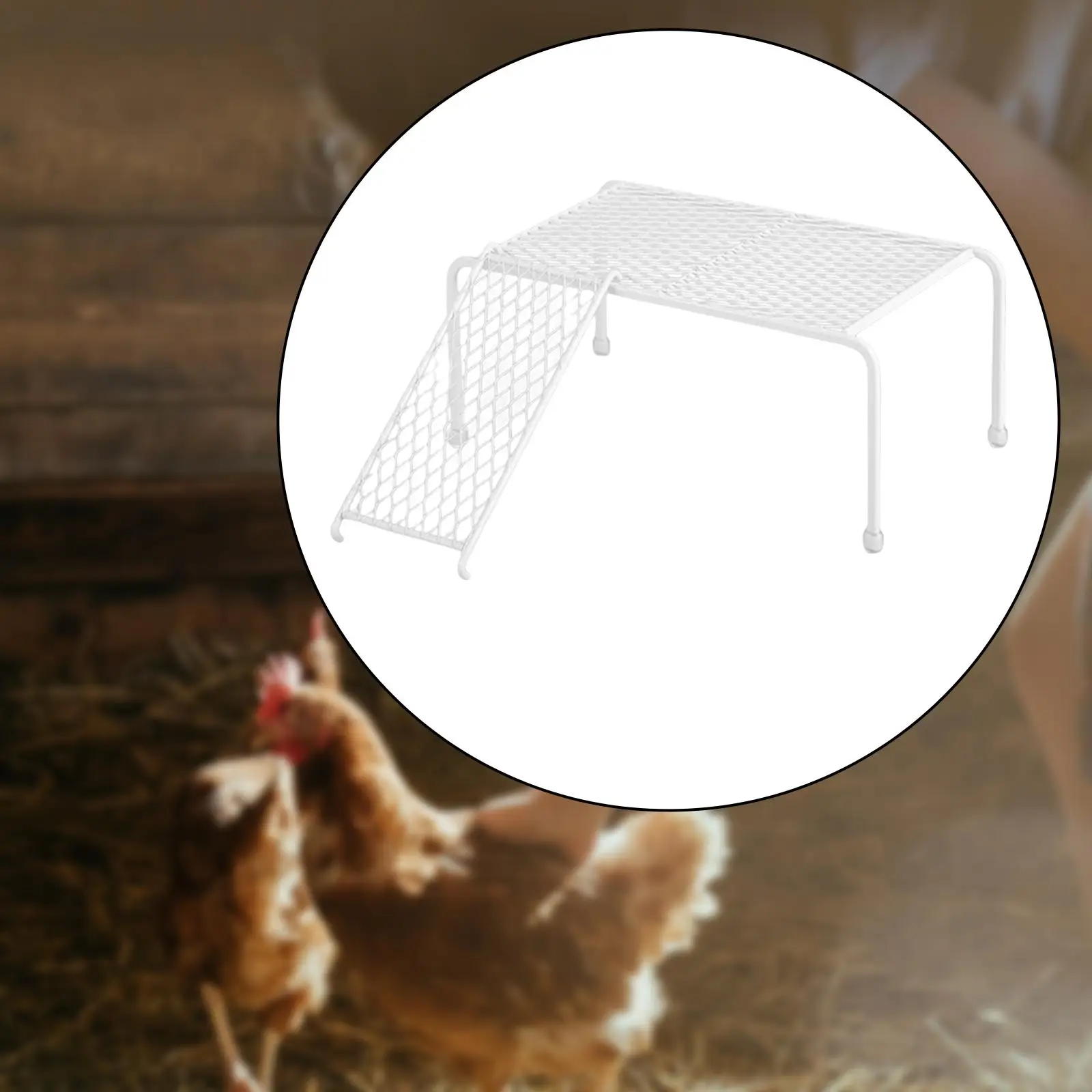 Stainless Steel Farmhouse Storage Rack Chicken Platform for Feeder Equipment