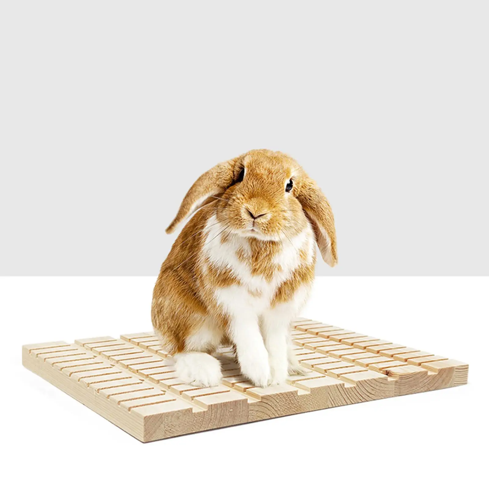 Rabbit Scratching Board Grinding Claws Rabbit Toys Cage Accessories Pad Chew Toys for Bunny Small Animals Chinchilla Hamster Rat