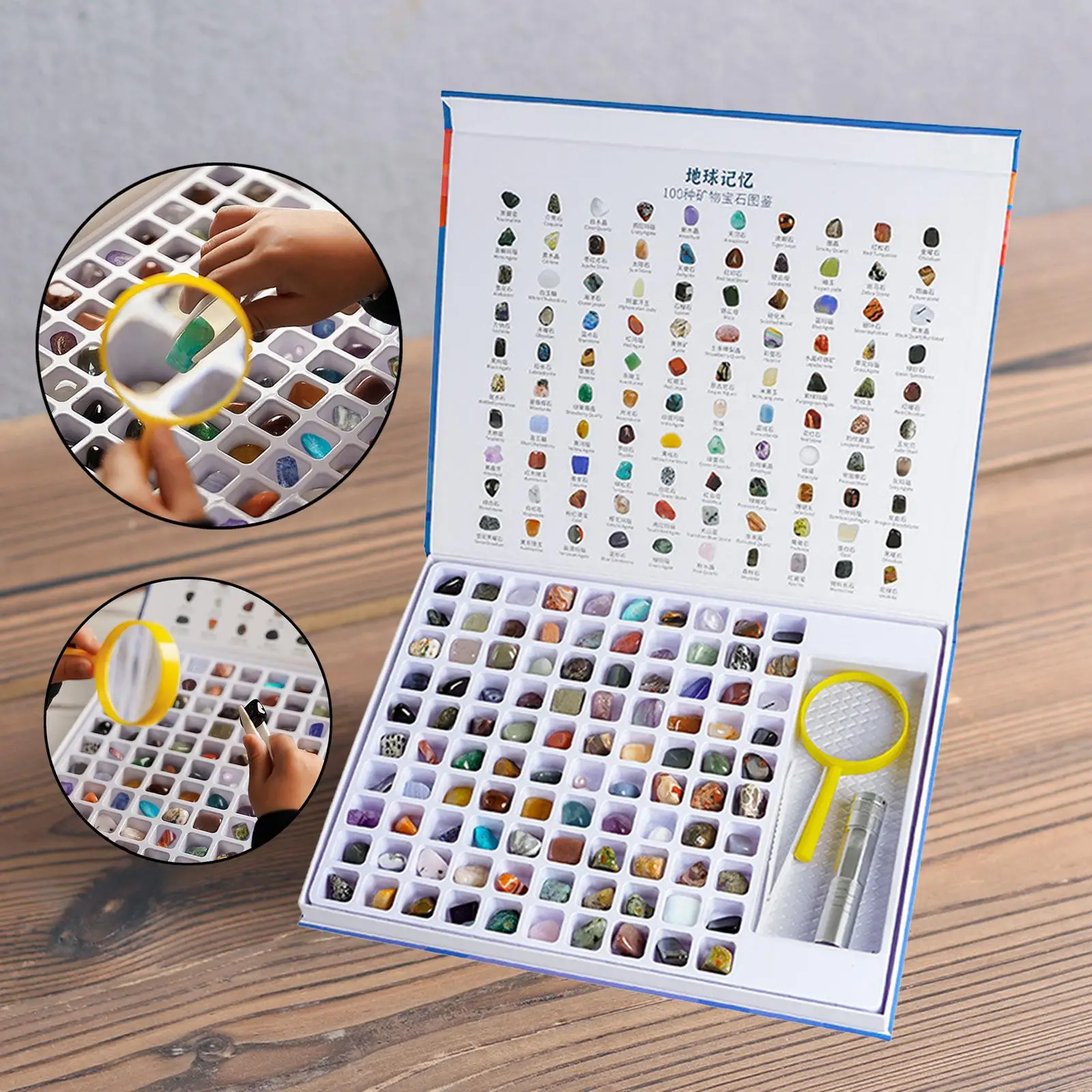 Rock & Mineral Collection  Rock Mineral Kit Educational for  6+