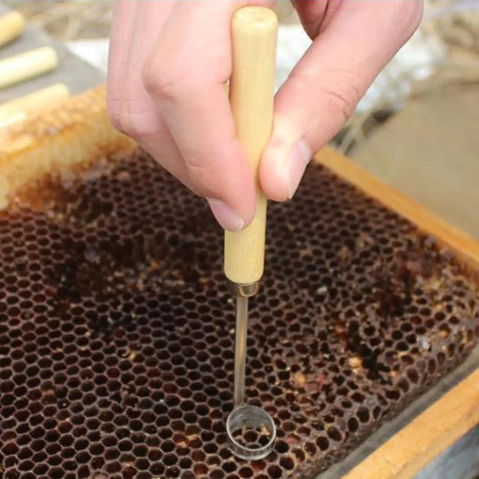 Beehive Tool Beehive Cleaning Scraper Durable Remover Beekeeping Tool Beekeepers Supplies for Outdoor Beekeeper Garden Outside