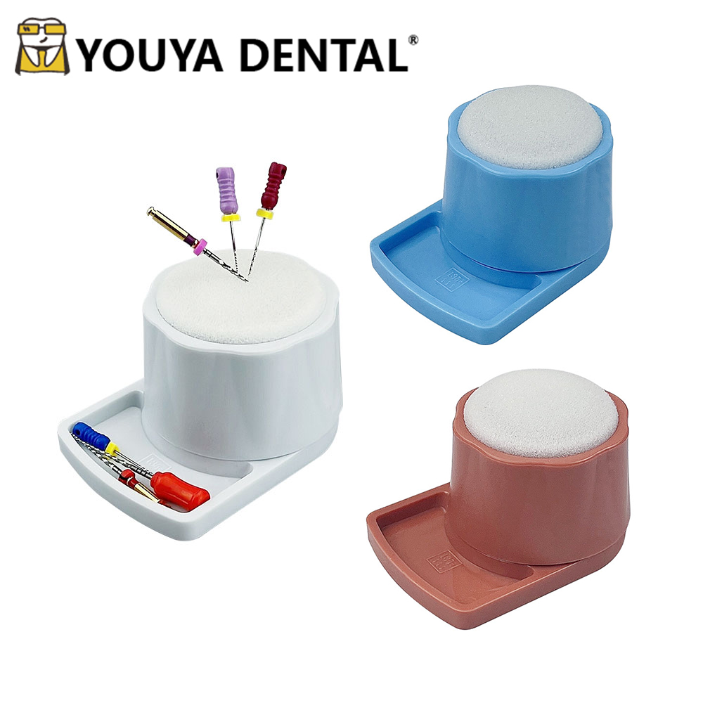 Best of Dental Autoclavable Endo Stand Endodontic Files Cleansing Tool Dental Endo Stand Files Cleaning Case Drill Burs Block Holder Reviews & Tips