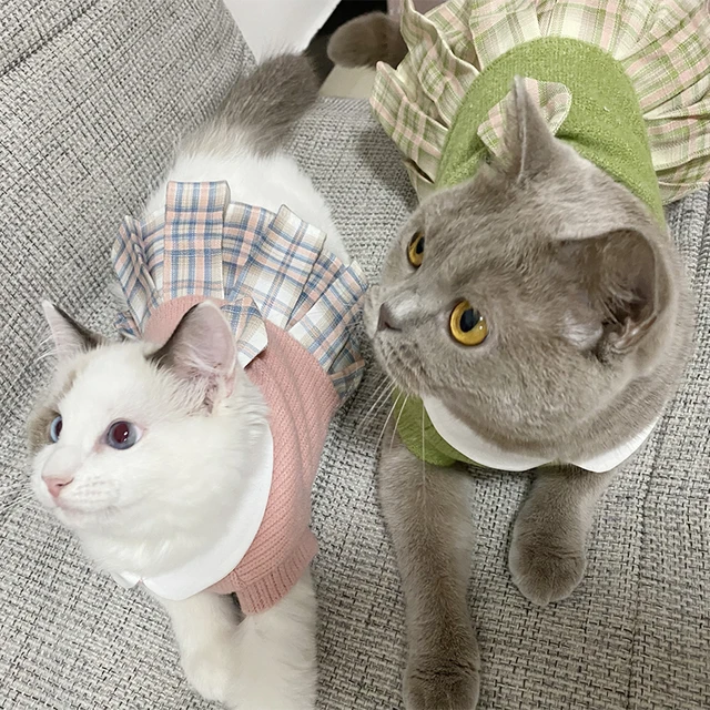 Summer new small pet clothing cat than bear plaid dress set with hat thin  model breathable birthday suit party dress - AliExpress