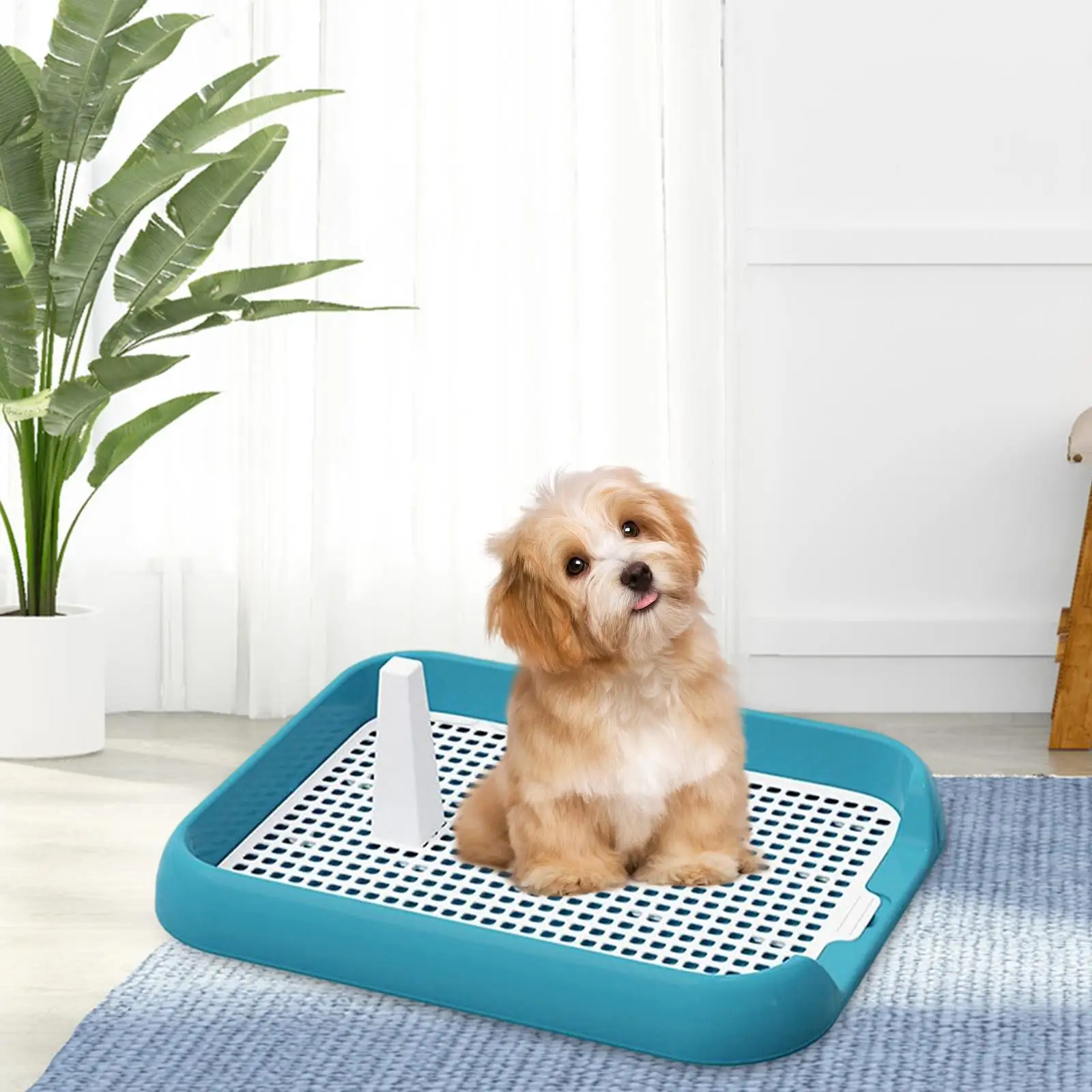 Training Pads Toilet for Puppy Portable Cat Litter Box for Small and Medium Dogs, Bunny, Cats