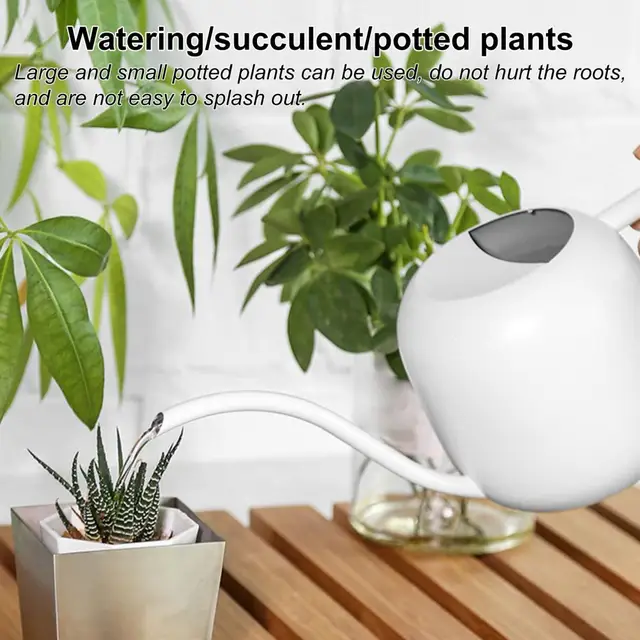 Arrosoir pour plantes d'intérieur Pot de jardinage Manche en bois Arrosoirs