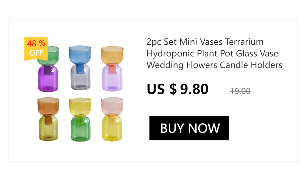 Nordic Creative Glass Bubble Vase Flower Arrangement Spherical Art Flower Ornaments Vases Decoration Home Birthday Gift