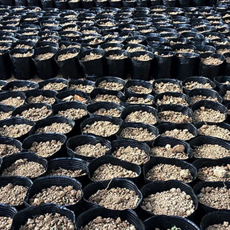 100pcs Black Plastic Seedling Planting Bowl Nursery Breathable Pot Nutrition Grow Bag Garden Vegetable Planting Container Box