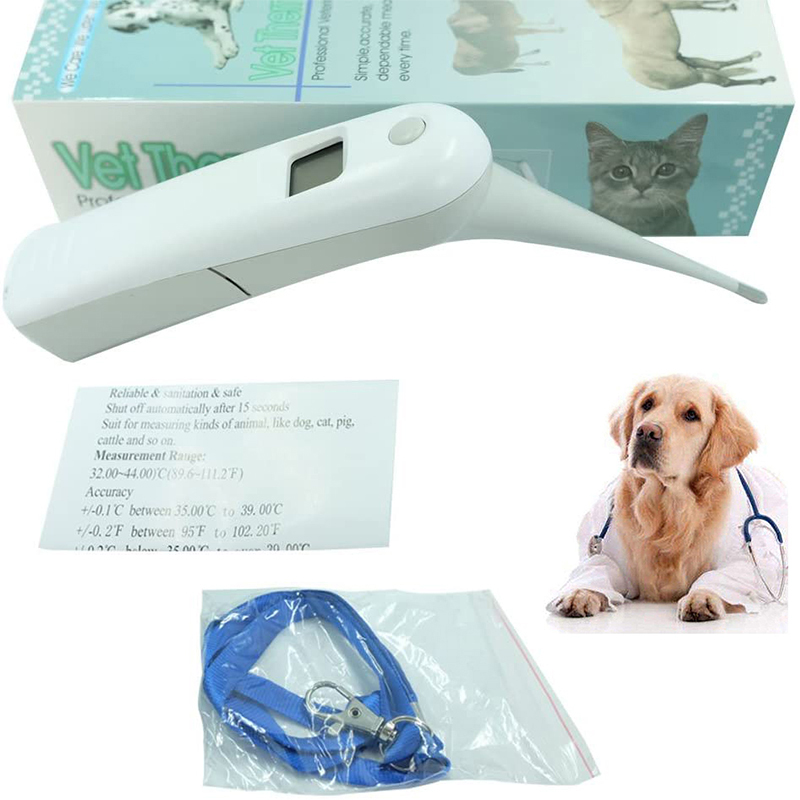 Termómetro veterinario - Detalle sistema medición