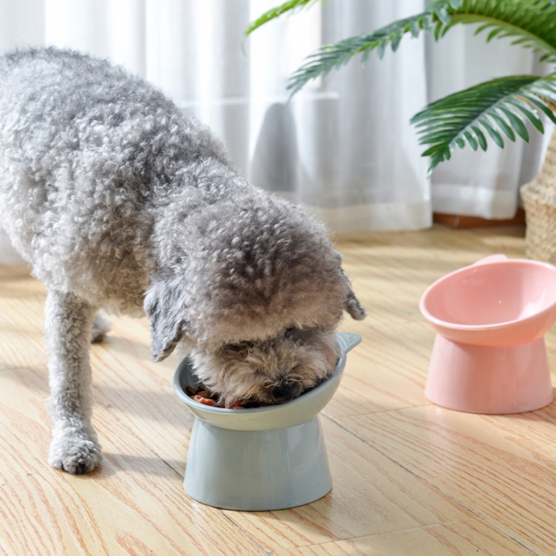 Title 7, Erhöht für Katzennäpfe, kleiner Hund, um 45° ge...