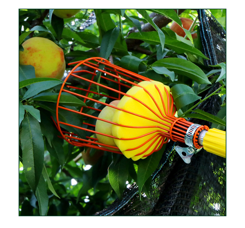 Description Picture 5 of itemFruit Picker Head Without Pole Metal/Plastic Fruit Collector Harvest Picking Apple Citrus Pear Garden Hand Tools