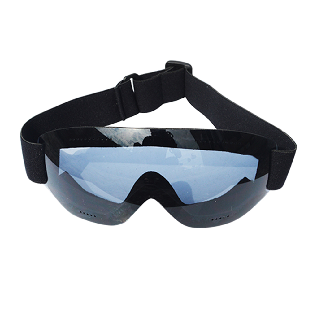 Anti fog Dust Wind Ski Snow Goggles Ski Sunglasses Glasses