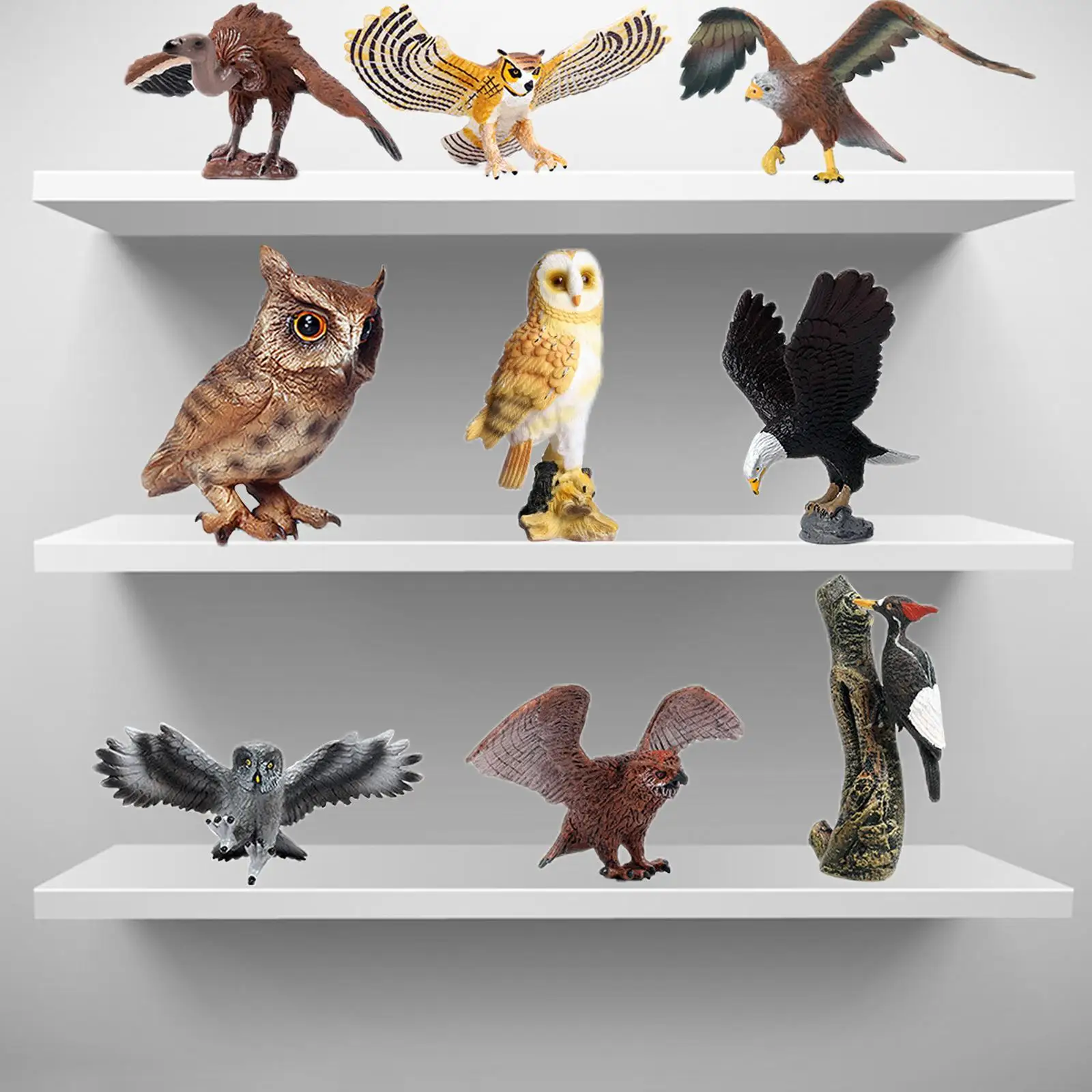 9Pcs Bird Figures for Desktop Decoration Development Educational Toy