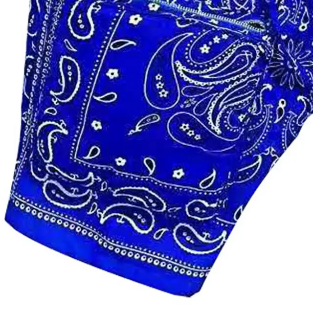 Men's Casual Drawstring Light Blue Bandana Paisley Print Shorts – Bella  Valentina LA