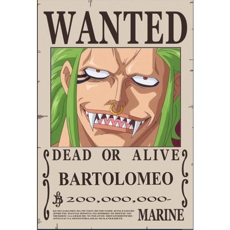 Bartolomeo Bounty One Piece Merch Wallpaper | iPad Case & Skin