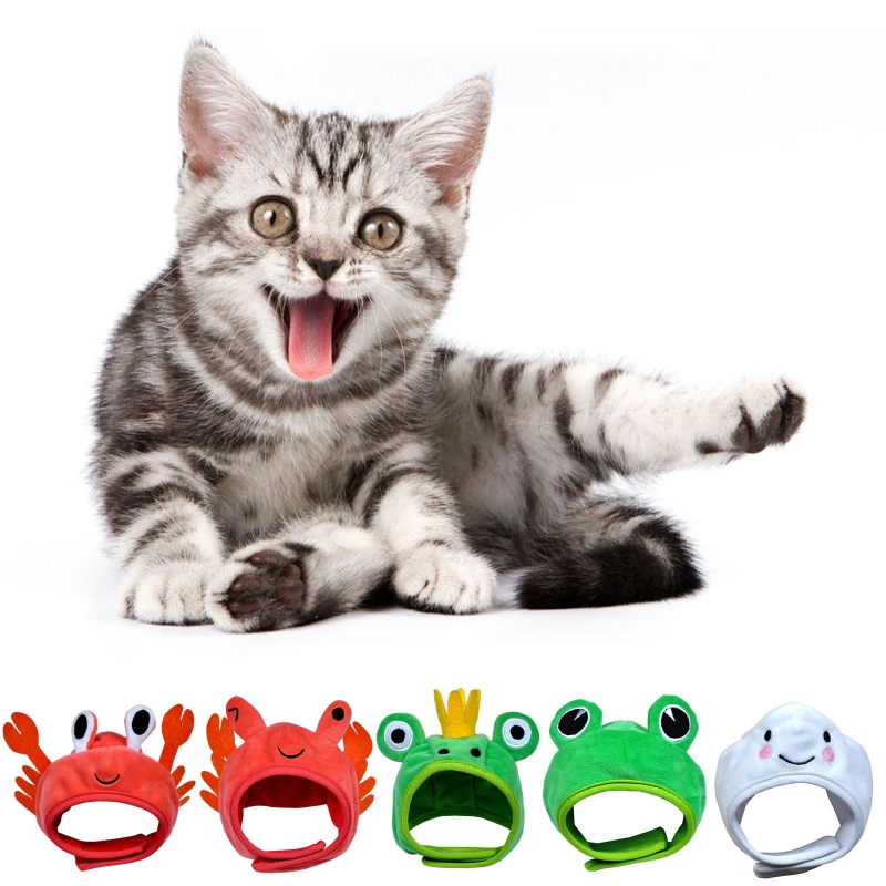 Frog Ear Warmer Hat for Pets Image 1