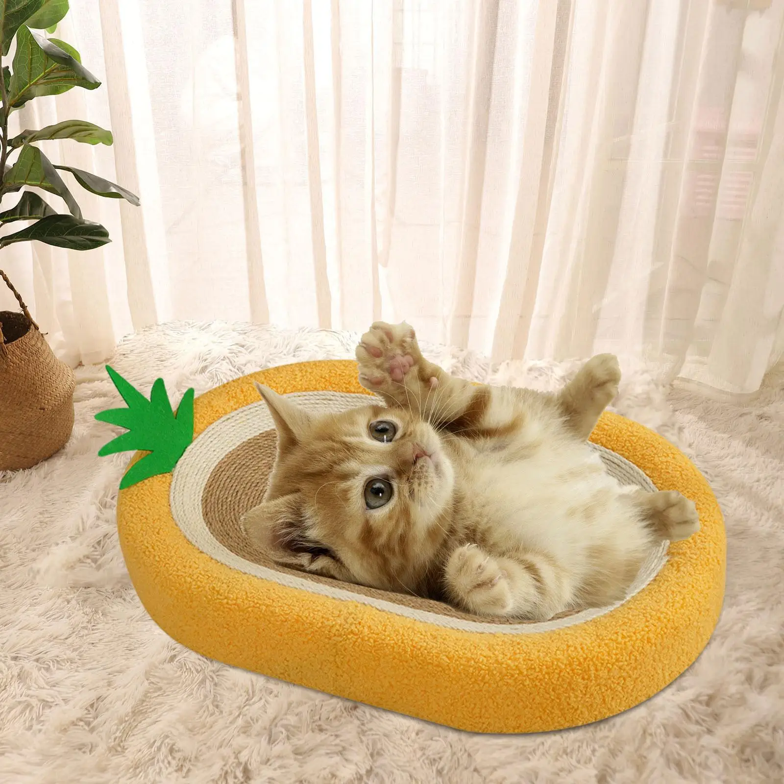 Cat Scratcher Bed Oval Couch for Cat Kitten Training Toy Furniture Protector