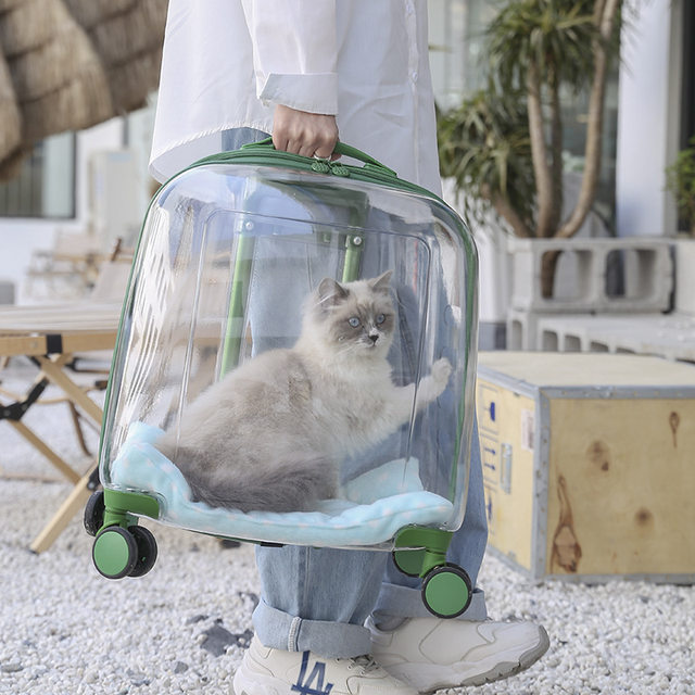 Cat Out Trolley Box Dog Space Capsule Transparent Portable Backpack Spring and Summer Large Capacity Cat Bag Pet Bag AliExpress