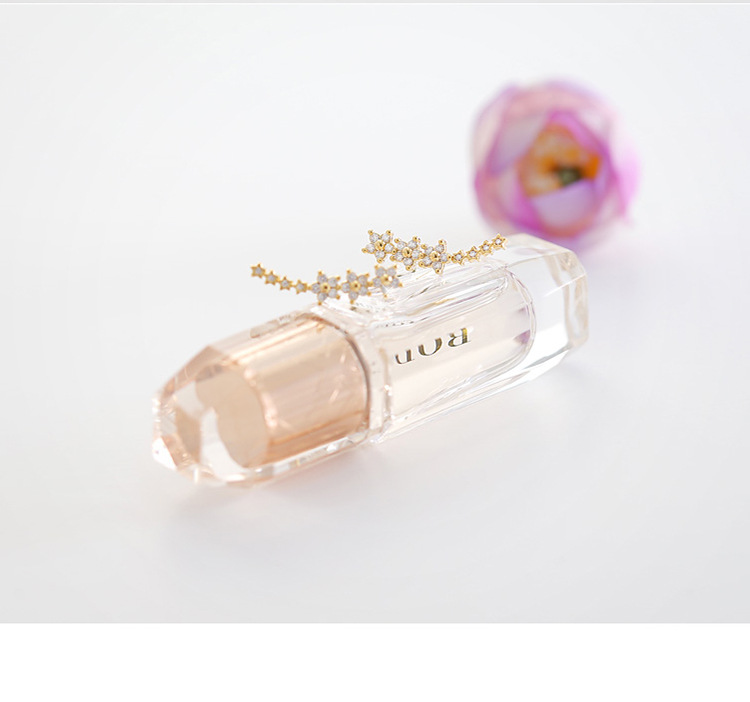 REETI Neue hochwertige super glänzende Stern Zirkon 925 Sterling Silber Ohrring für Frauen Schmuck Großhandel Geschenk – Detail 10