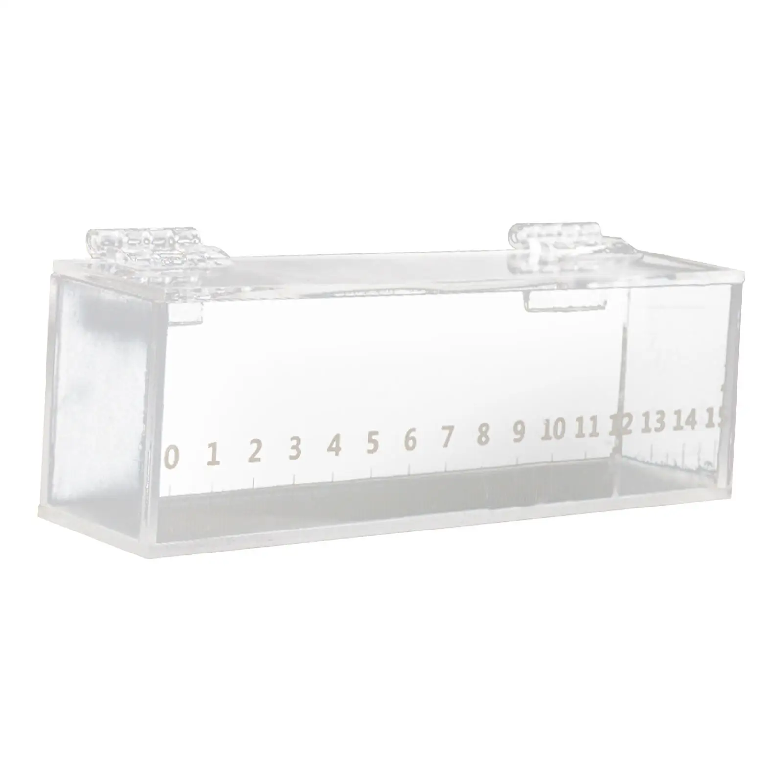 Fish Viewing Box Acrylic mini Aquarium Transparent Holder Fishing Photo Tank Fish Breeding Tanks Hatching Boxes with Scale