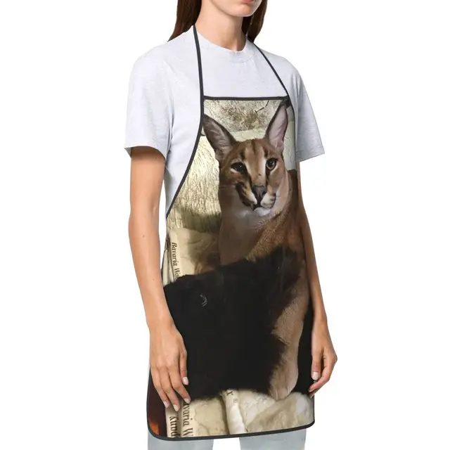 Grande floppa bebê meme engraçado avental para homens mulheres gato caracal  adulto unisex cozinha chef bib tablier cozinha cozinhar cozimento pintura