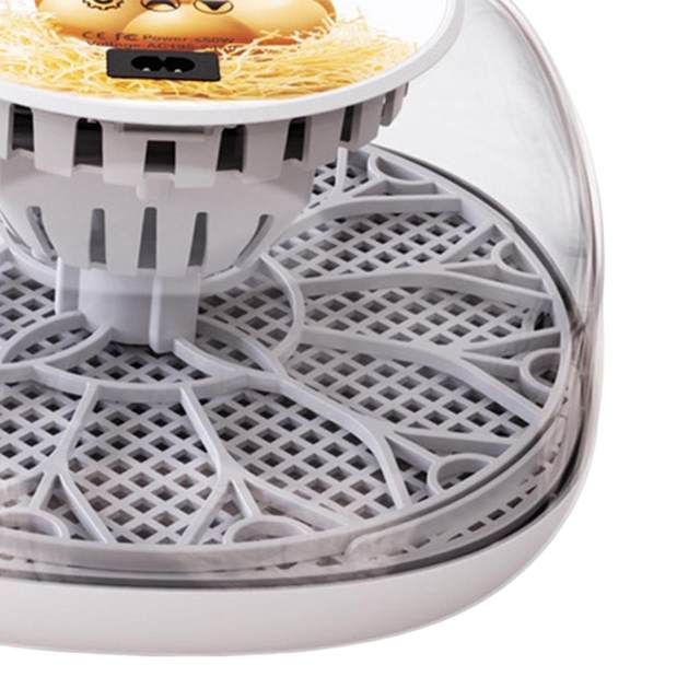 12 Eggs Incubator Egg Turner Tray Transparent Cover Children Experimental Hatching Eggs Hatcher Machine for Farm Quail Chicken