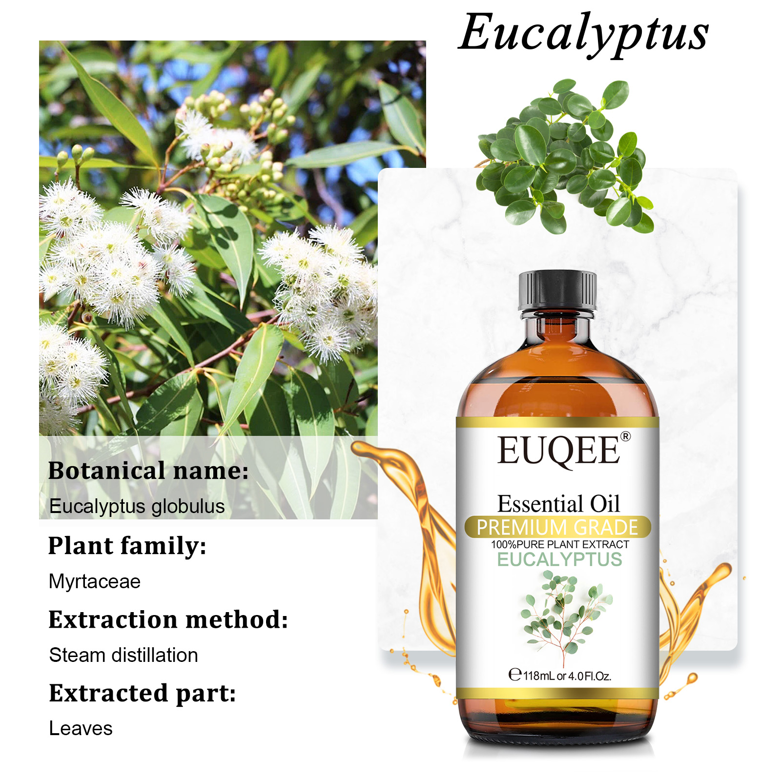 Best of EUQEE 118ML Large Bottle Essential Oil For Humidifier Neroli Helichrysum Eucalyptus Jasmine Aroma Oil, DIY Soap, Massage, Skin Care Reviews & Tips - Image 2