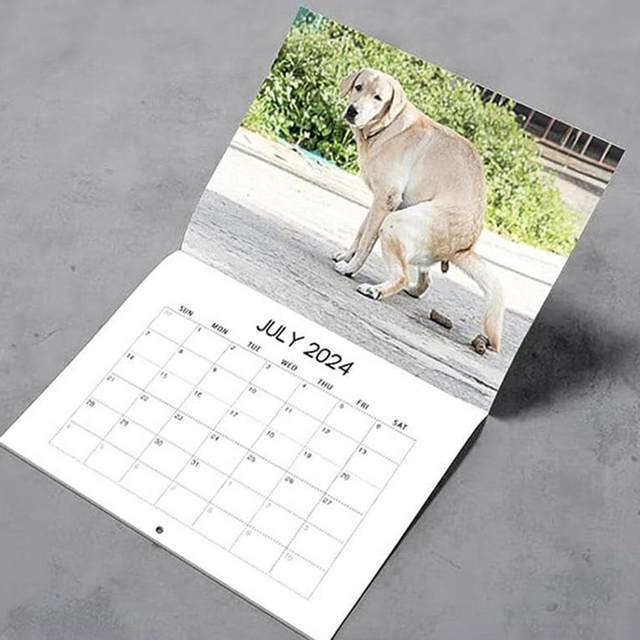 Calendário de parede 2023 - calendário de parede memes animais 2023-2024 de  janeiro de 2023 a junho de 2024, presentes engraçados de calendário, 30,48  x 60,96 cm (aberto), 30,48 cm x 30,48