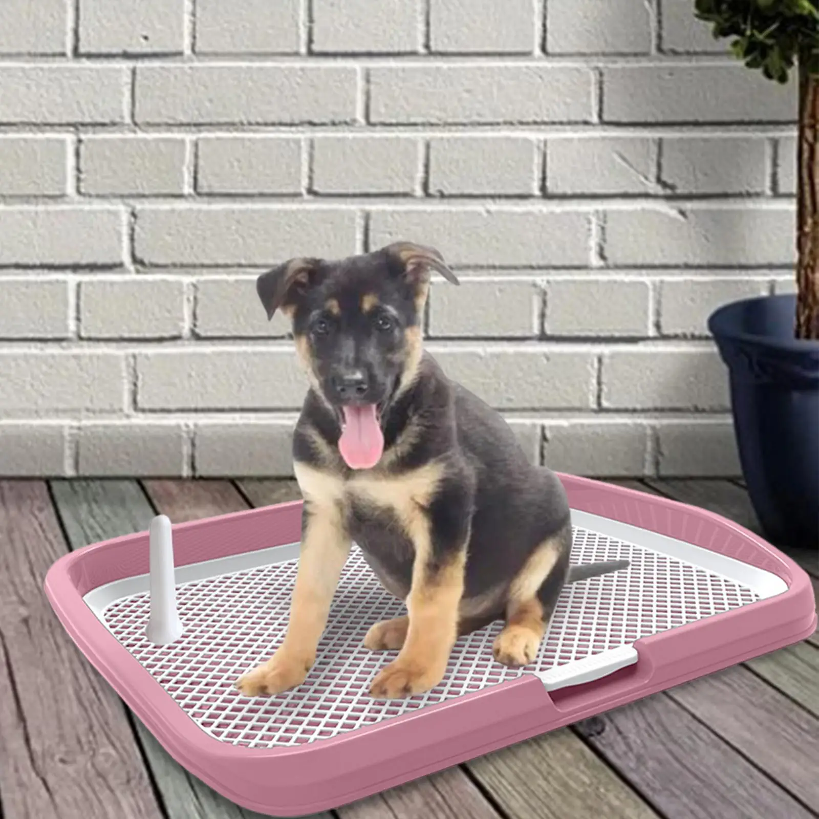 Pet Training Toilet Tray Potty Pad Holder Potty Tray Small Dog Training Pads