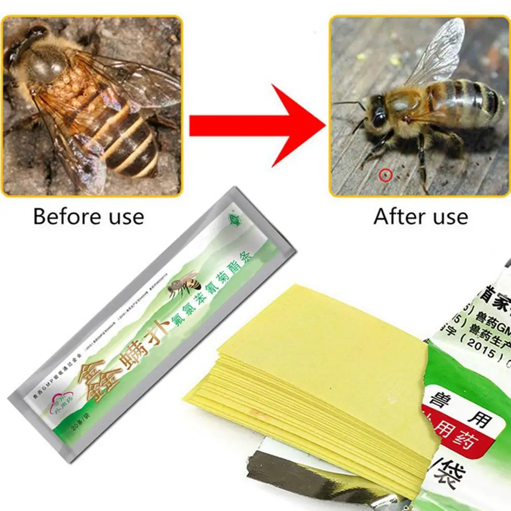 Beekeeping Fluvalinate Bee Mite Varroa  Beekeeping Medicine Strip