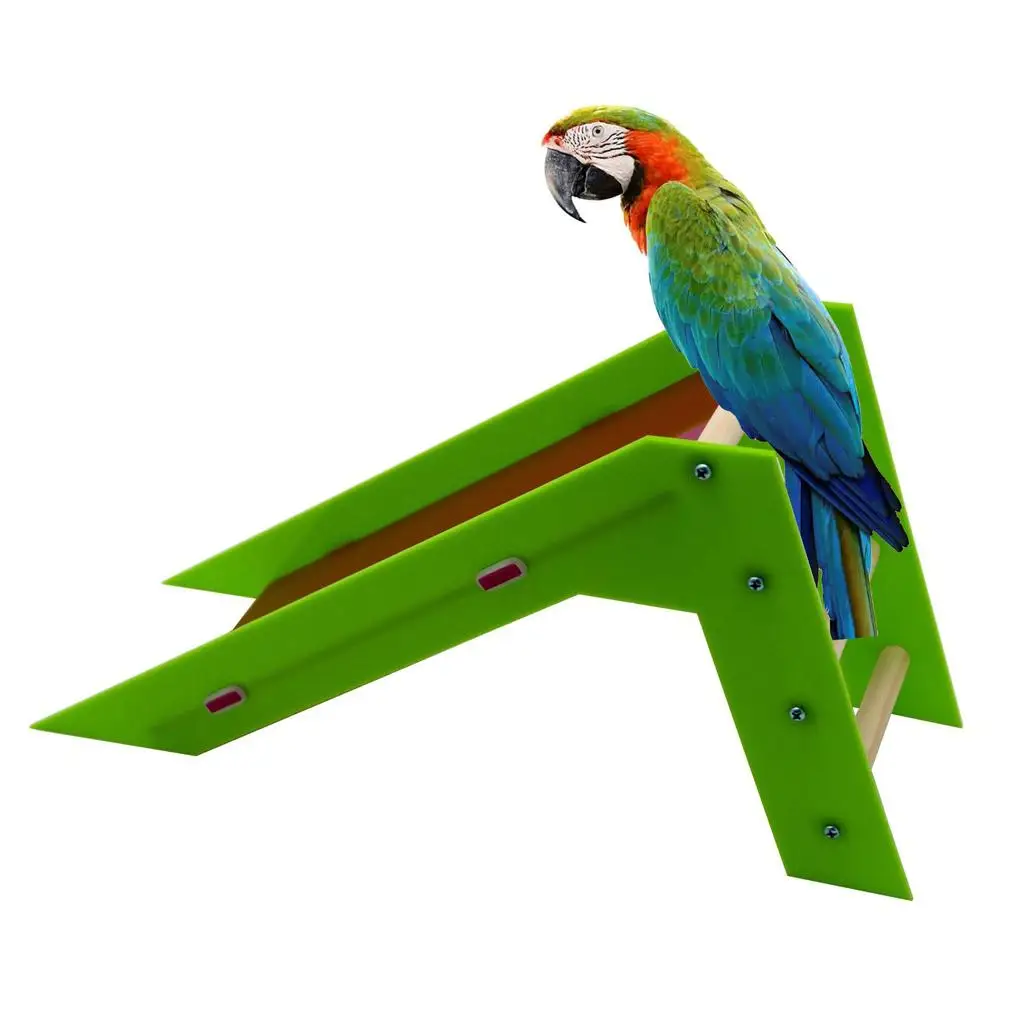 Parrot Slide Training Ladder Toys, Crawling Parrot Educational Exercise Toys, Bird Activity Center Gym Toys, Tabletop Perches 