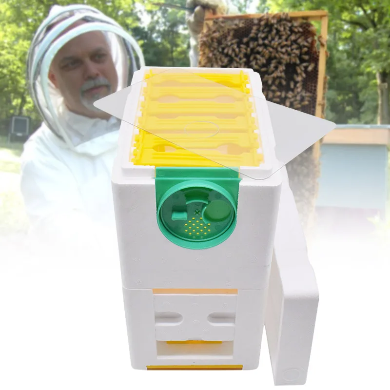 Beekeeping King Box Pollination Box Foam Frames Beekeeping Equipment Kit Harvest Bee Hive Box For Garden Pollinator Beekeeping