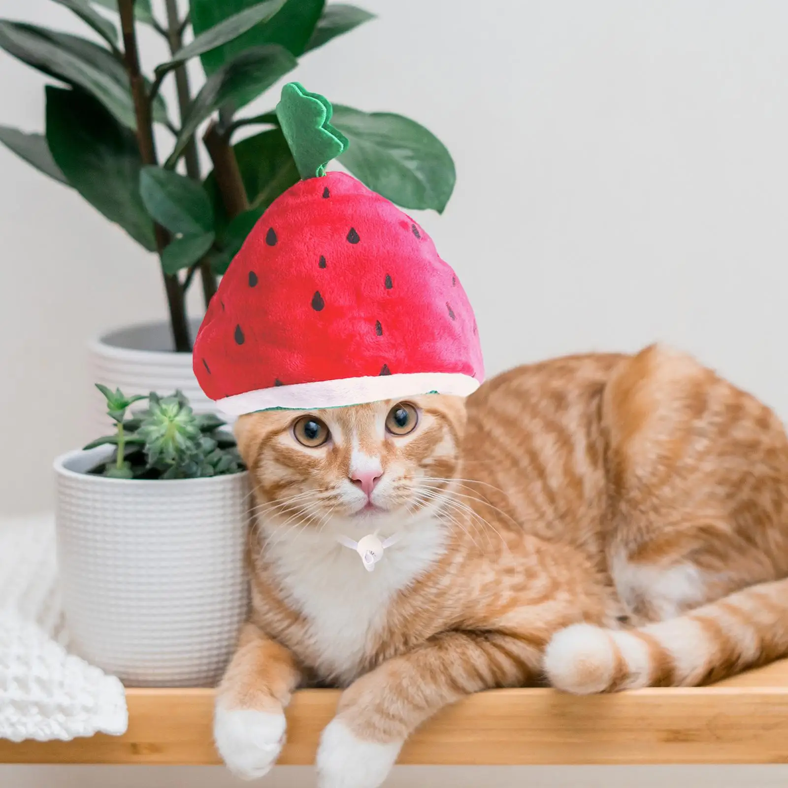 Cute Cat Costume Hat Cat Halloween Costume Soft Headdress Pet Headwear for Birthday Festival Christmas Decoration Photo Props