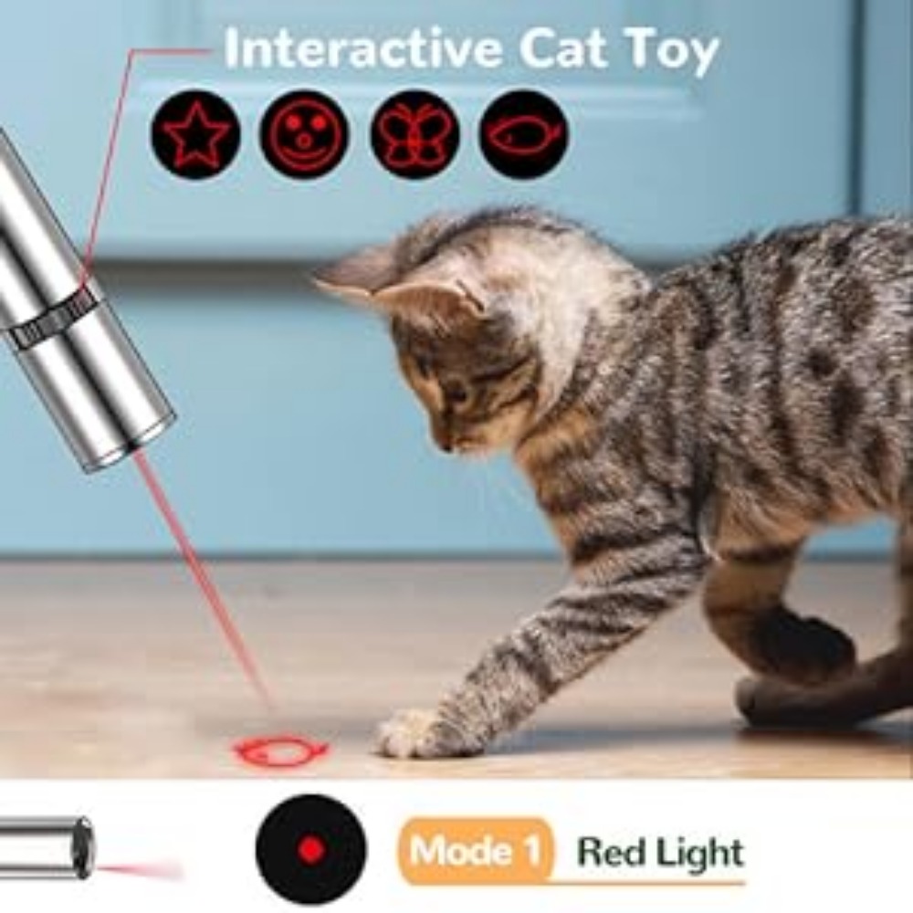 interactive cat toy