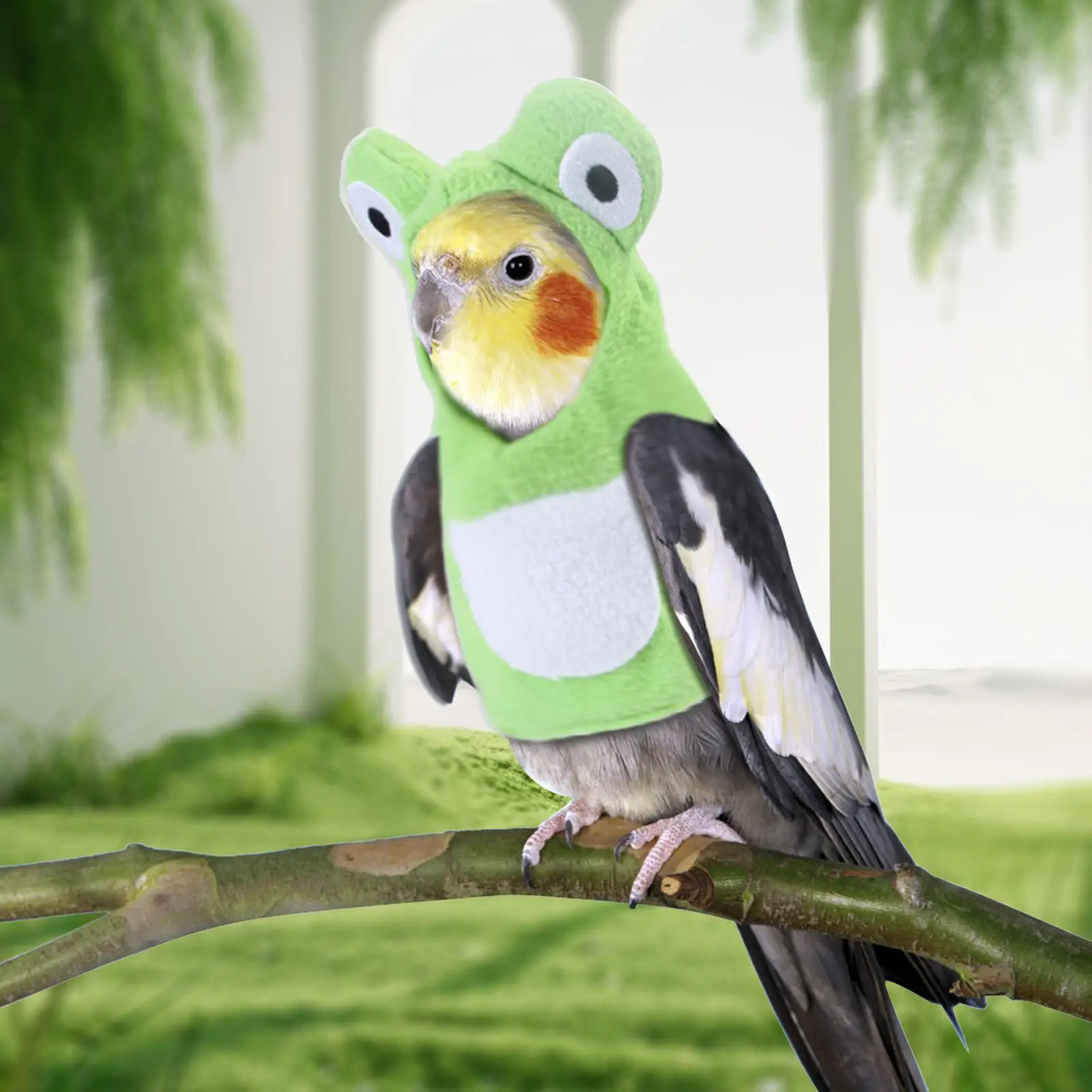 Bird Clothes Frog Shaped Photo Prop Hoodie Reusable Bird Accessories Adorable