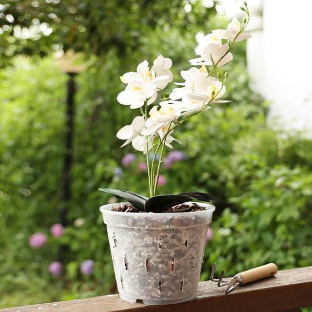 Pots Fleurs Drainage Pots à Orchidées ALI2 Transparents - Lot De 5 - Plastique Avec Trous - 14x12cm - Pour Contrôle Racines Culture Orchidées Intérieur