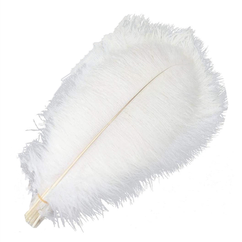 10 Teile/los Straußenfedern zum Basteln 40-45 cm 16-18 "Große Schwarz Weiß Tischdekoration Zubehör Dekor Hochzeit Party Dekoration – Detail 4