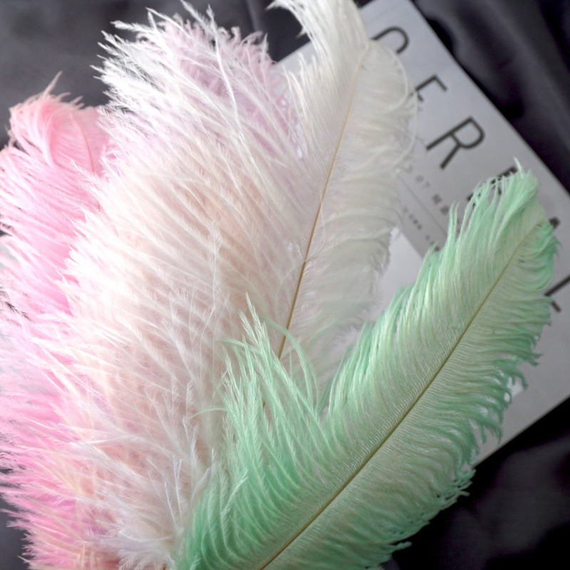 Title 1, INS Ostrich Feathers Photo Props Ornaments Man...