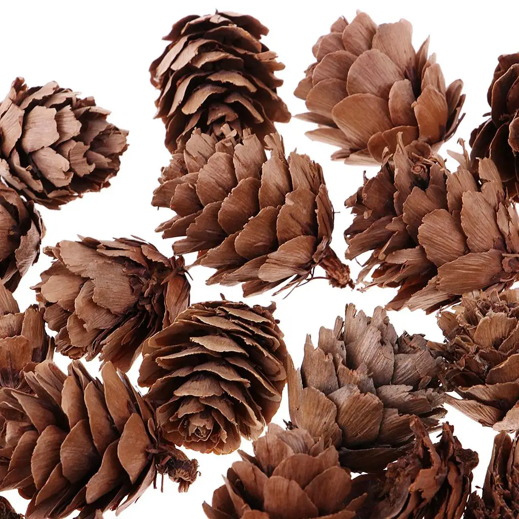 30pcs Small Dried Pine Cones Accents Home Decoration Ornaments