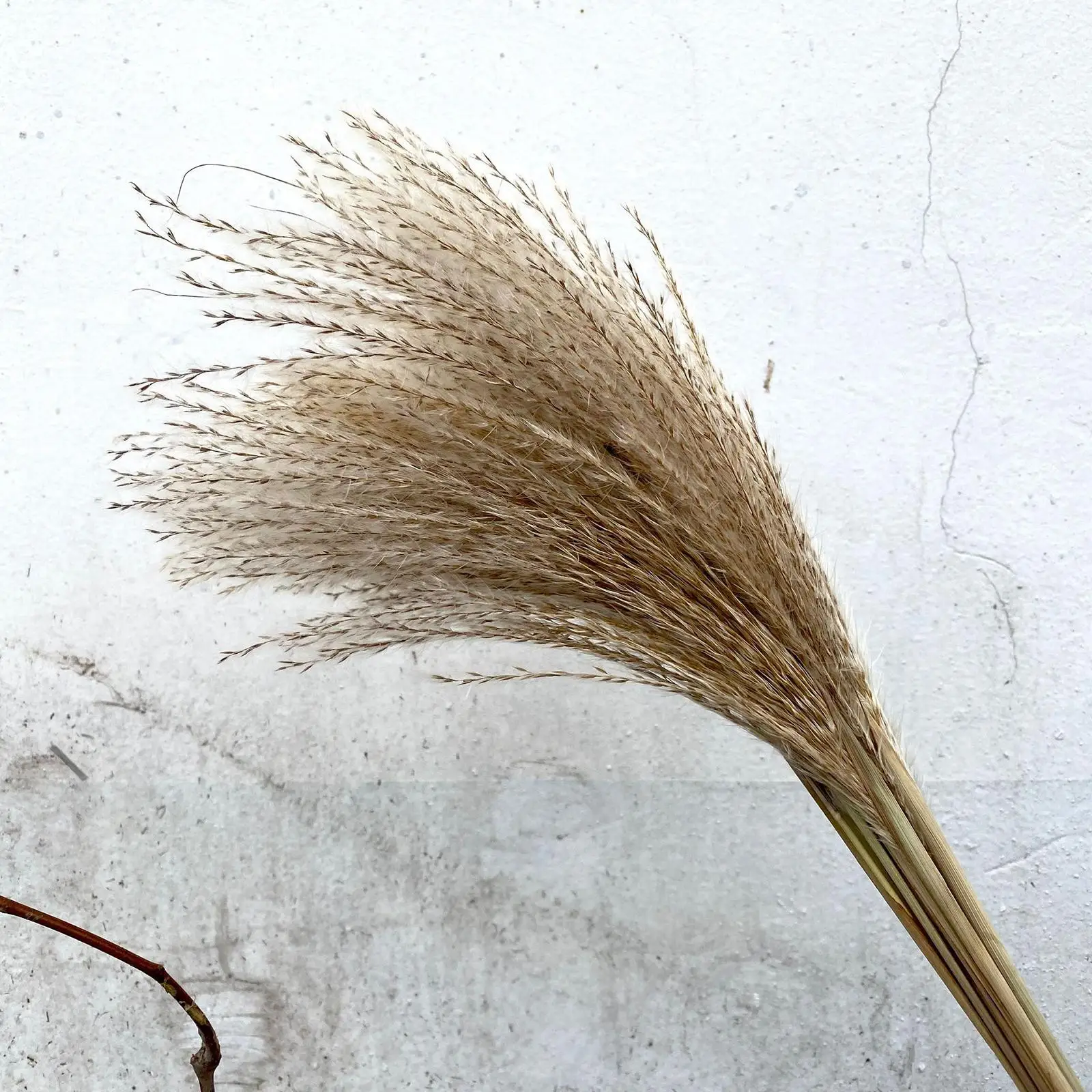 100 Pieces Rustic Dried Pampas Grass Floral Arrangements for Festival Table Decor