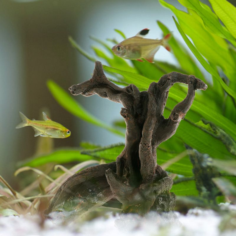 Title 5, Poisson pour aquarium, ornement, abri, tronc d