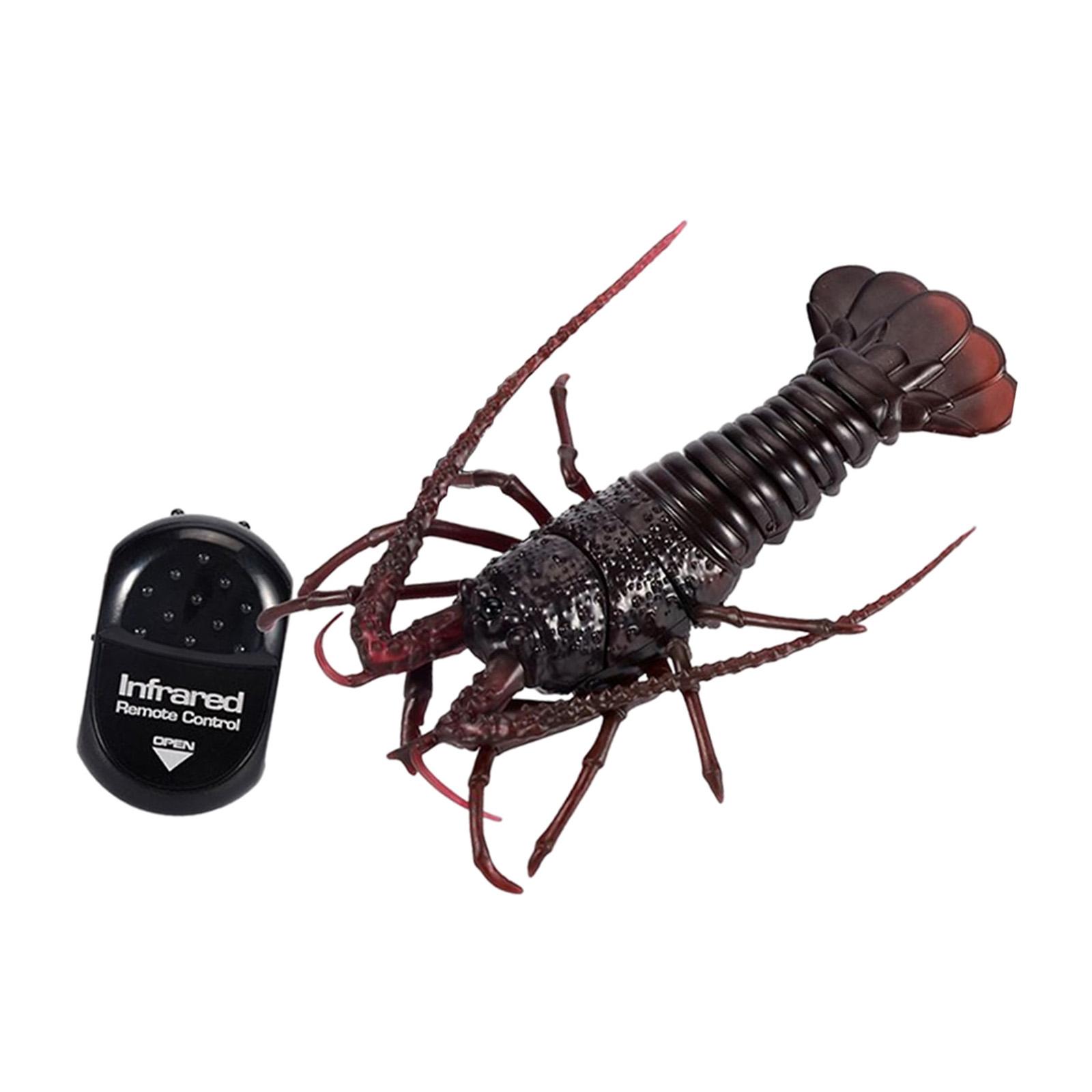 Simulation RC Crawfish Realistic Remote Control Vehicle Car Animal Pet Model Electric Infrared RC Shrimp for Kids Girls Boys