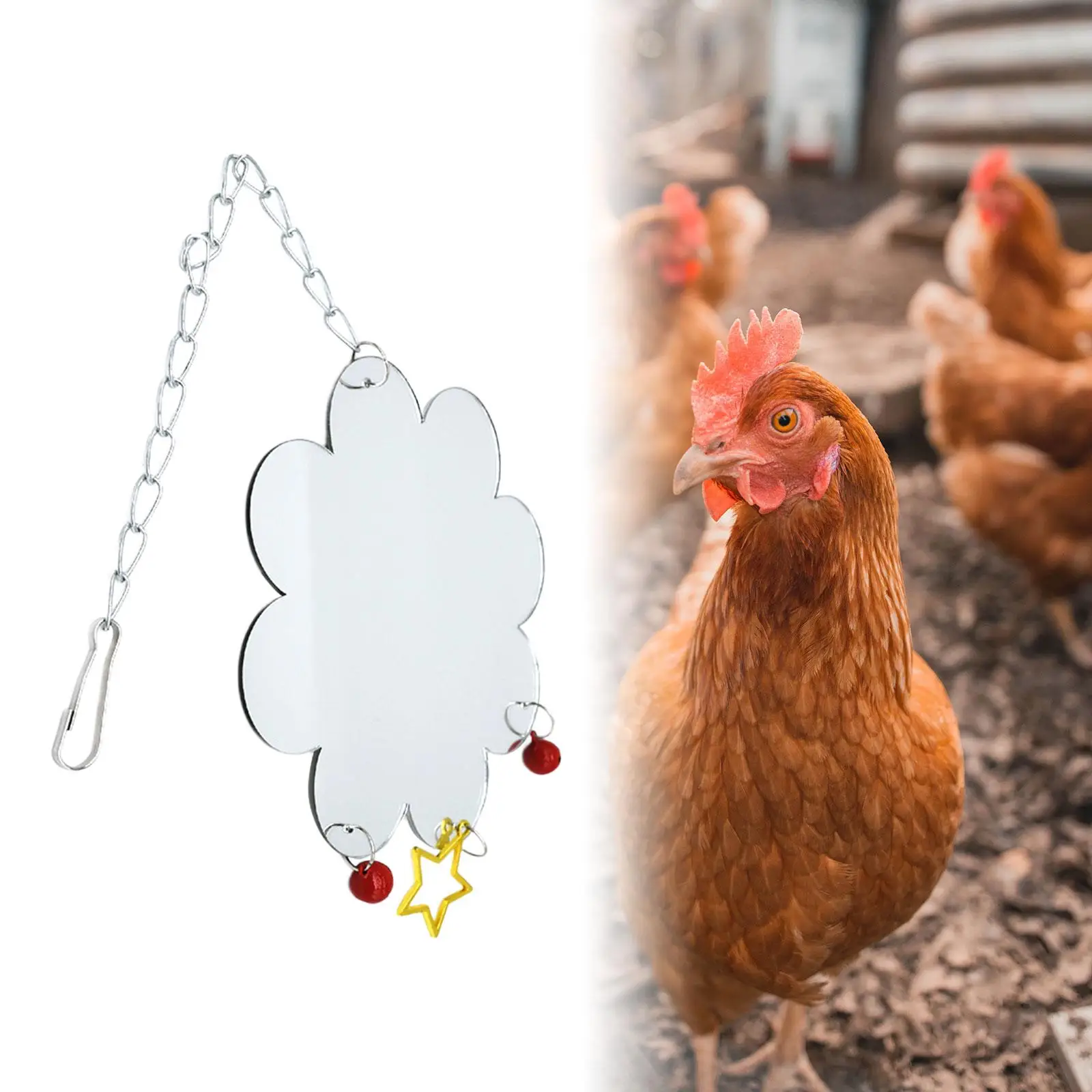 Chicken Mirror for Hens Coop, Chick Toys Chicken Mirror Toys with Bells, Parrot