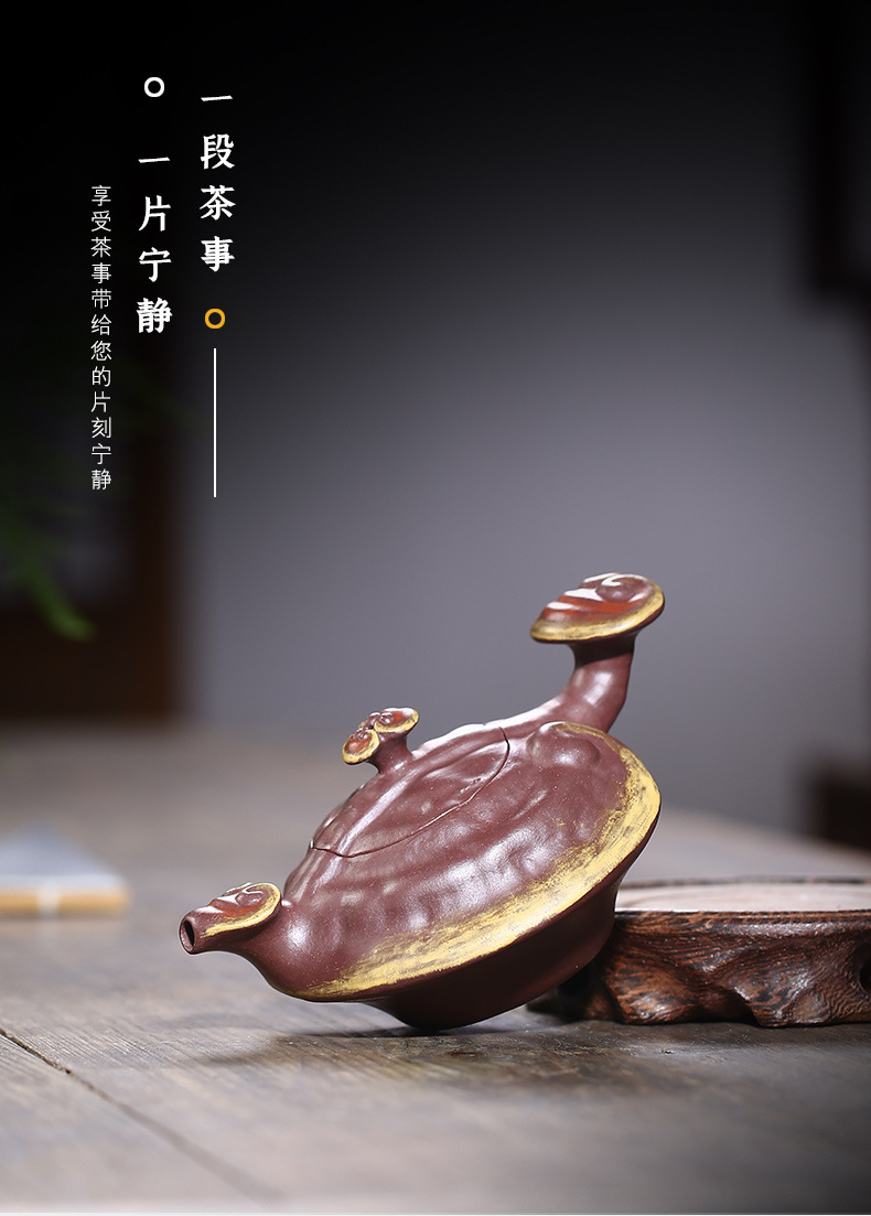 Ganoderma Ruyi_17.jpg