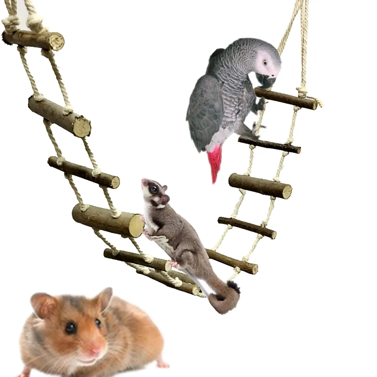 Pet Parrot Hamster Climbing Ladder Cage Accessories Birds Hanging Bridge for
