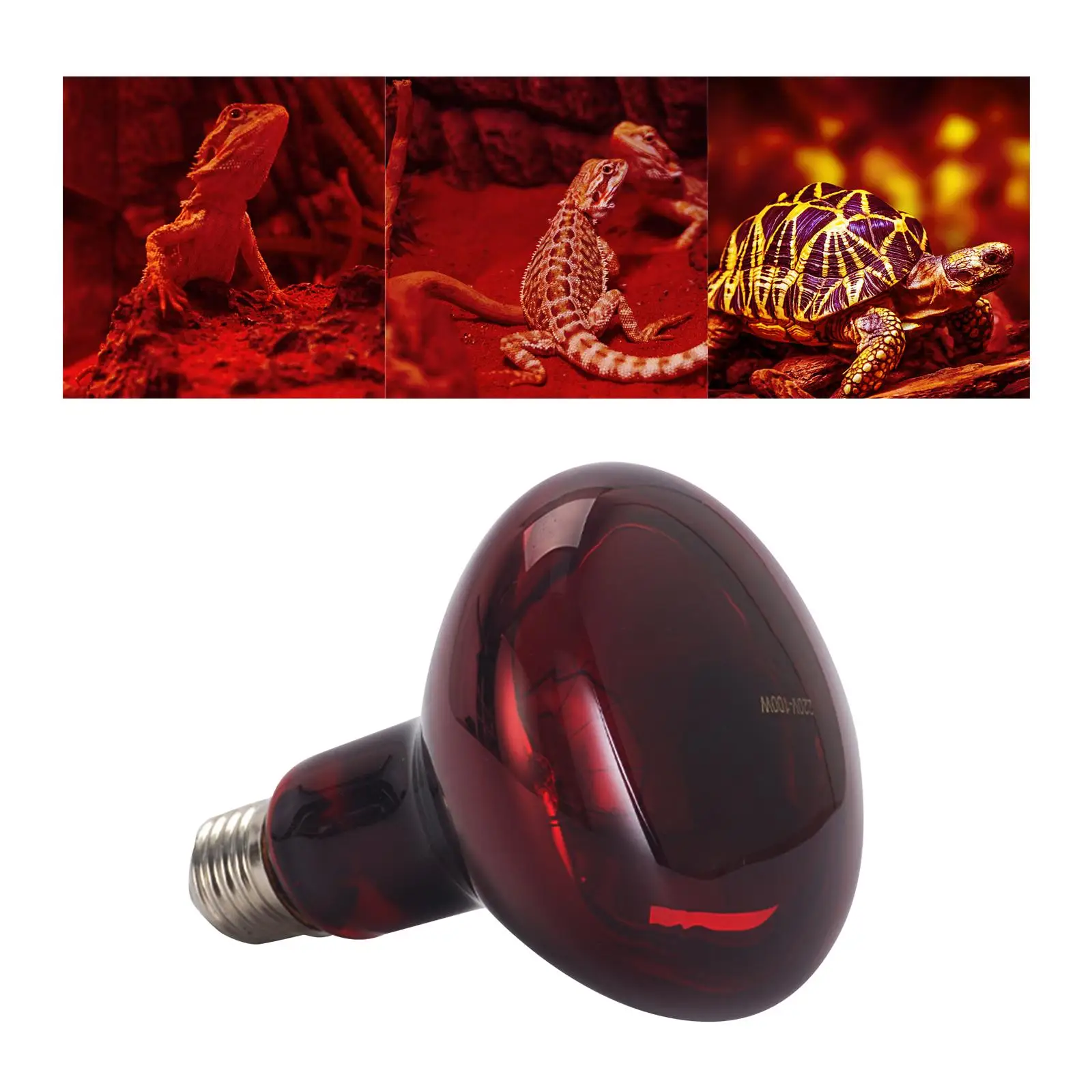 E27 Reptile Light Bulb Heat Lamp Warmer 100W Accessories Daylight Red for Bearded Dragon Hedgehogs Amphibians Home
