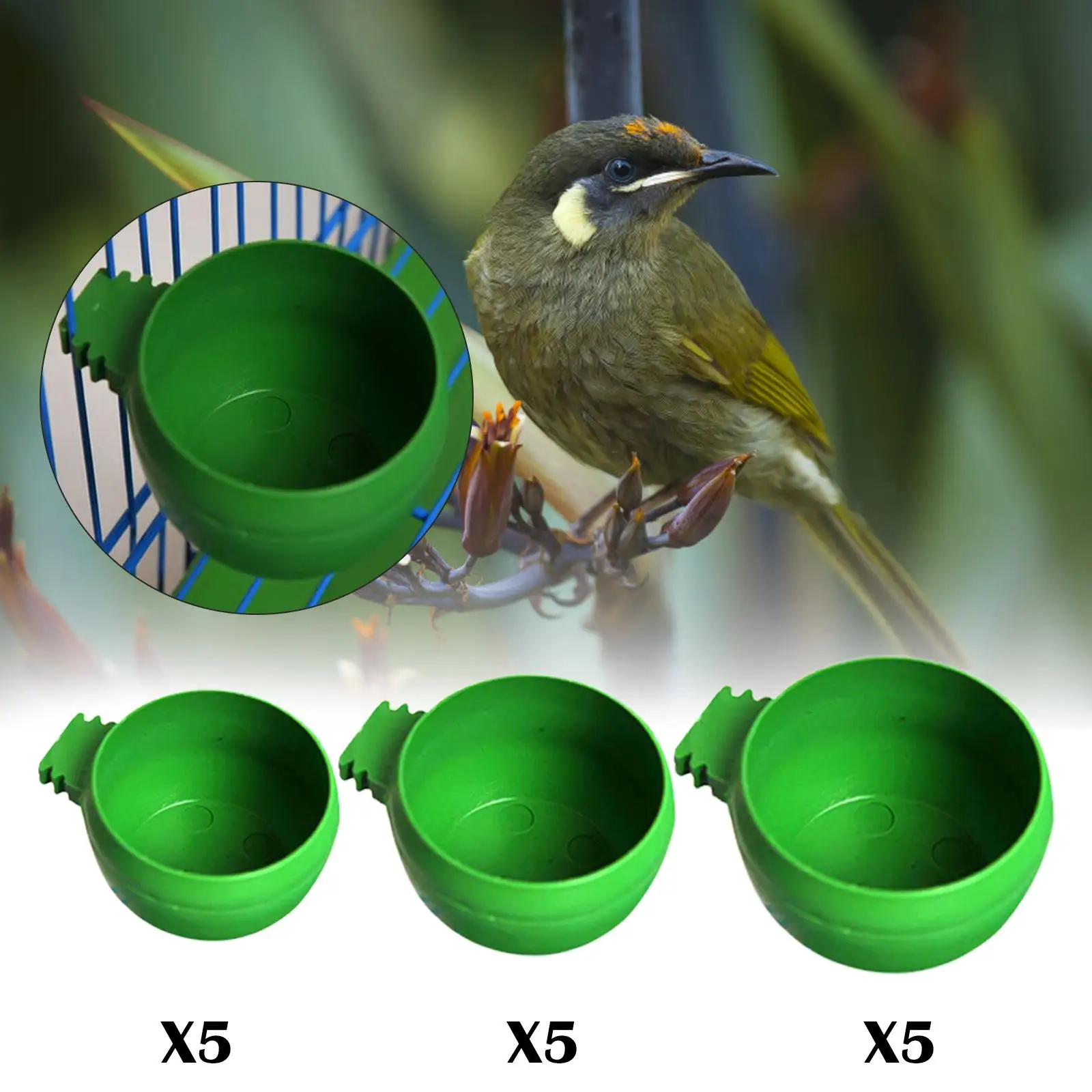 5Pcs Feeder, Cage Hanging Mini Round Feeding Dish Cups Parrot food Bowl for Birds Feeding Cockatiel Parrot Parakeet
